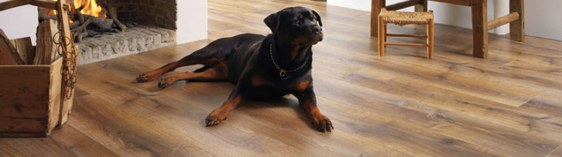 Ламинат Berryalloc LVT Ламинат Berryalloc LVT